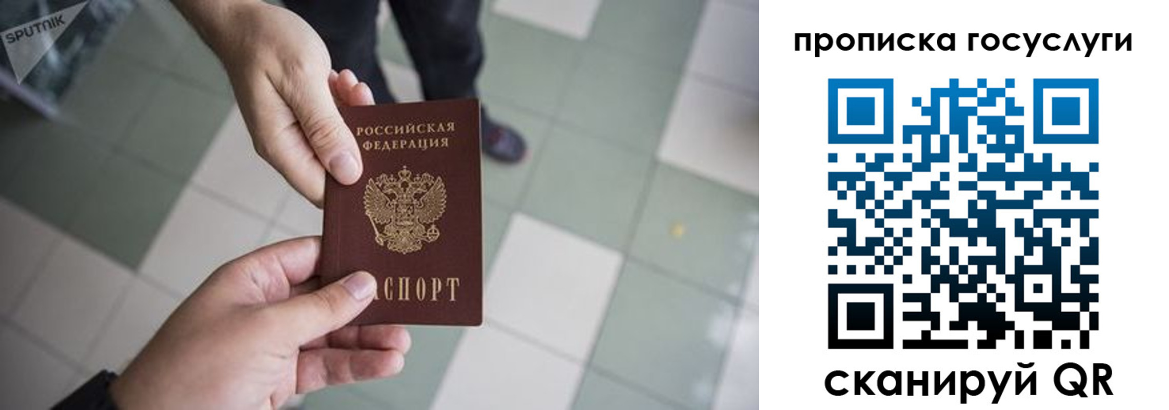 временная регистрация для всех в Электрогорске